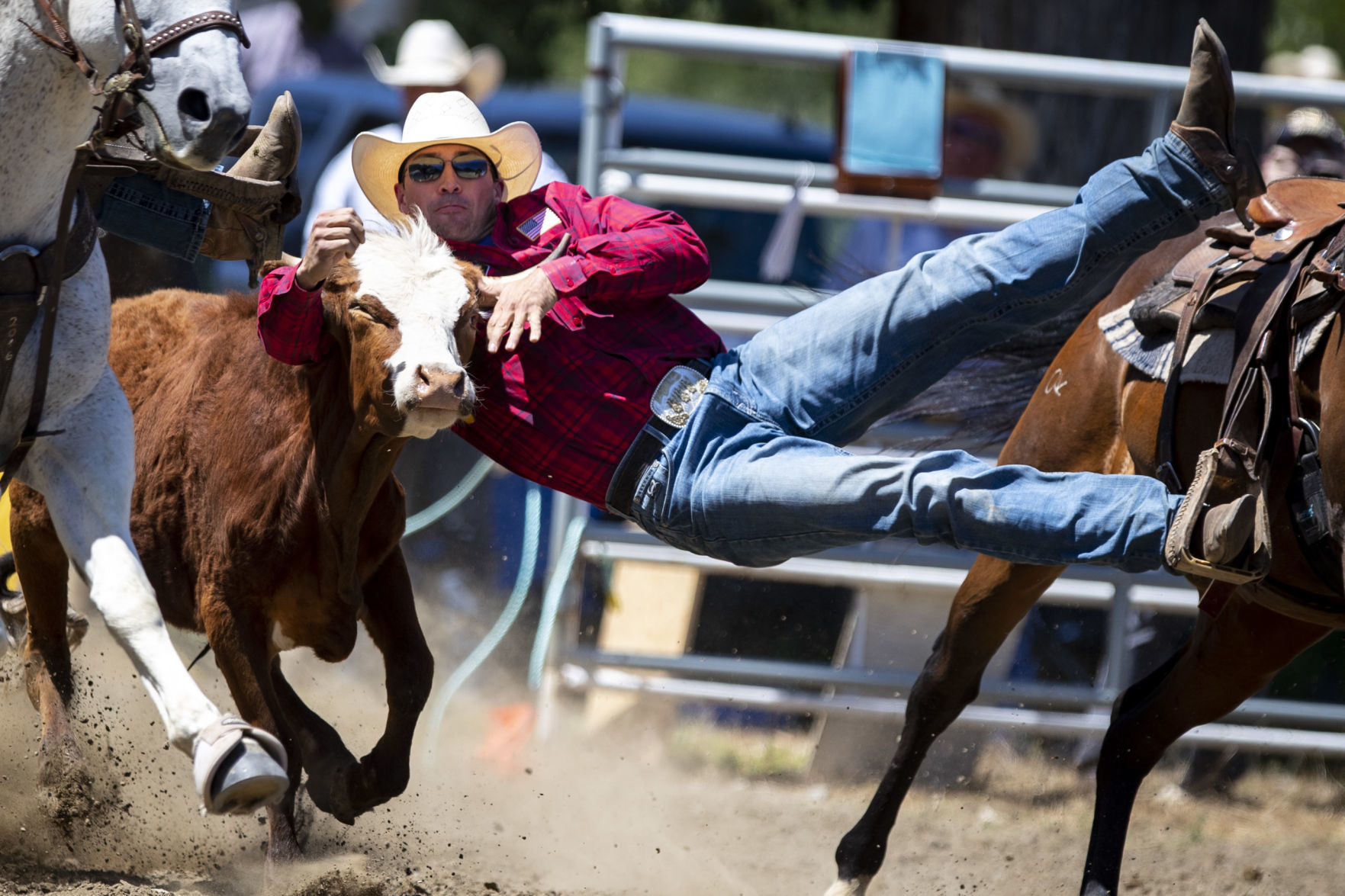 Rodeo Roundup